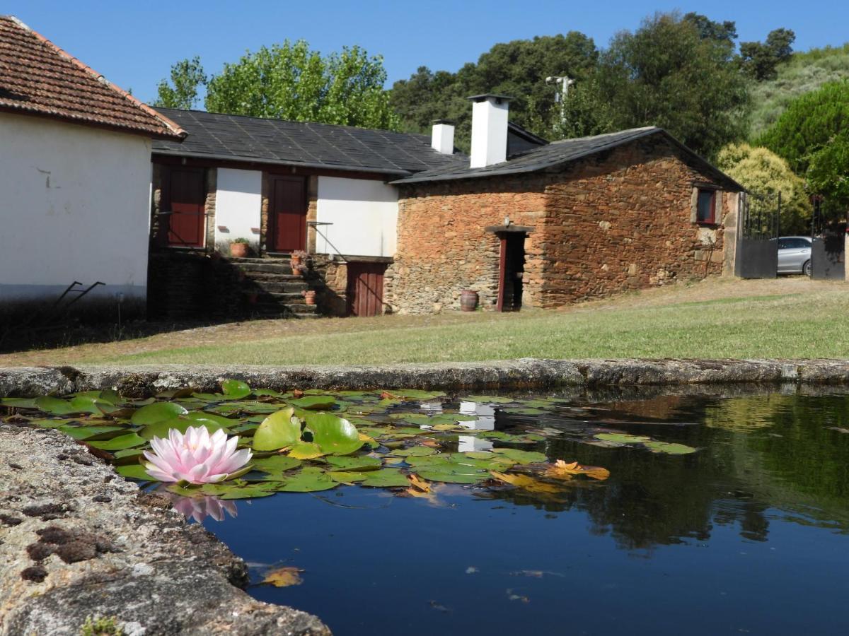 Quinta Da Alagoa Villa Santa Maria de Emeres Exterior photo