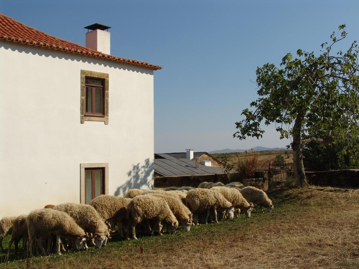 Quinta Da Alagoa Villa Santa Maria de Emeres Exterior photo
